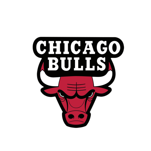 Chicago Bull Pics